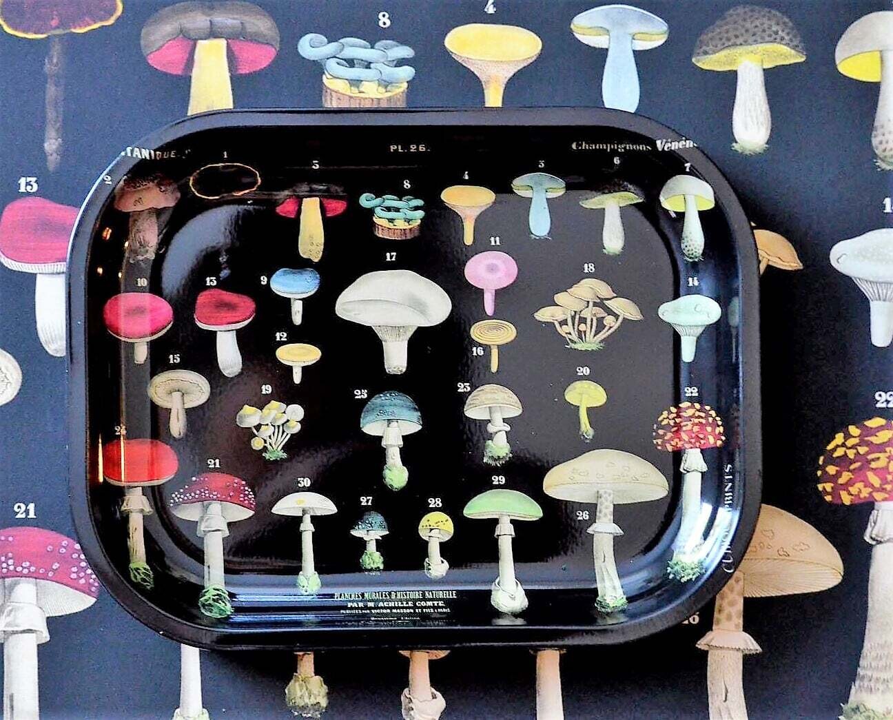 mushroom tray