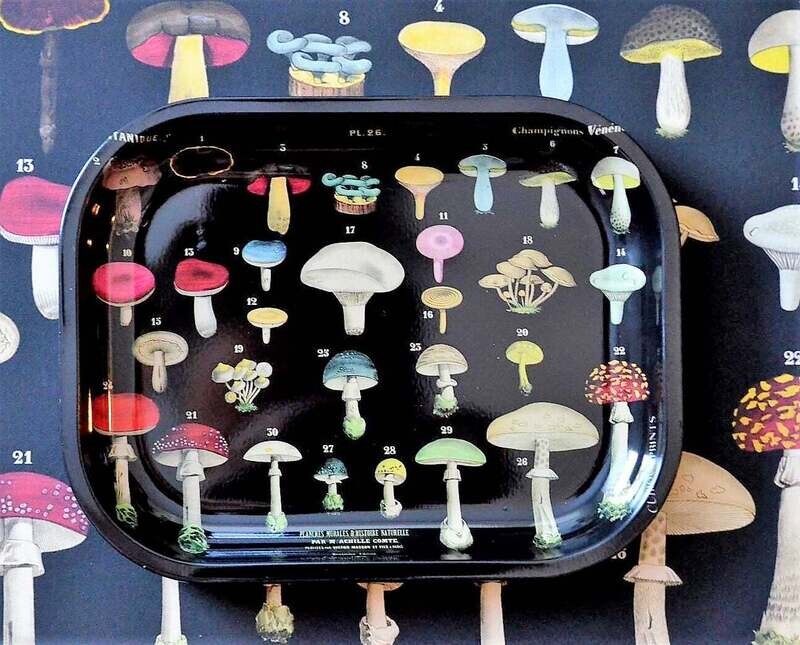 mushroom tray