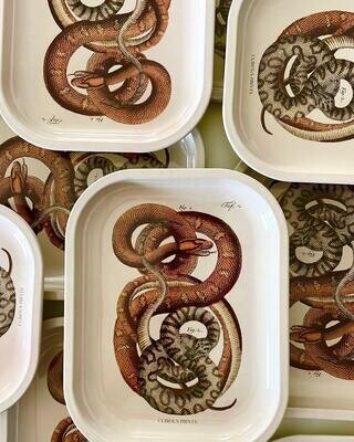 snake tray
