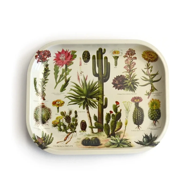 Cactus tray