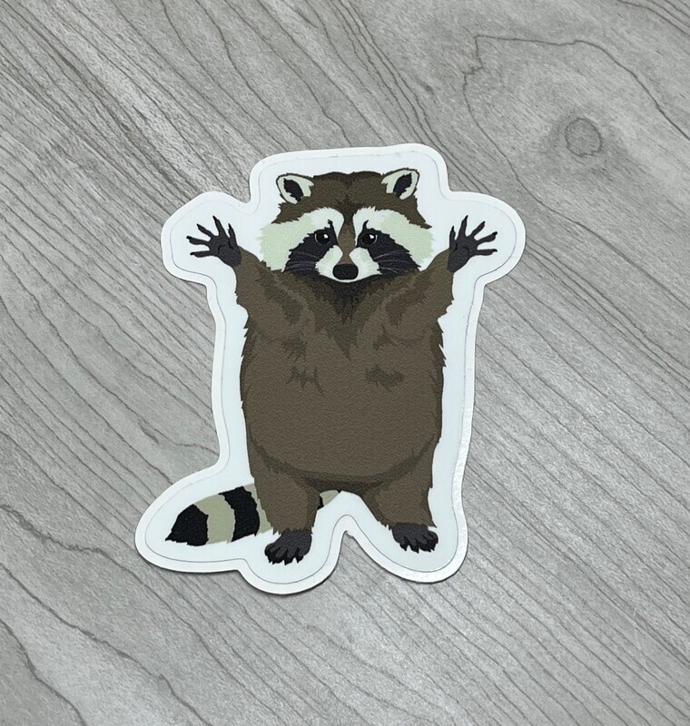 AW Raccoon