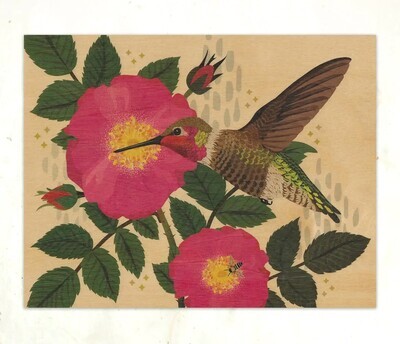 LGF Hummingbird
