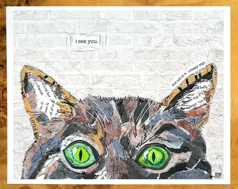 FR Cat Eyes