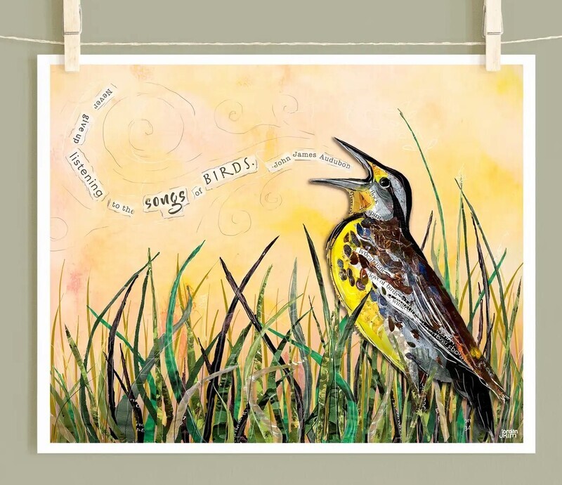FR Meadowlark