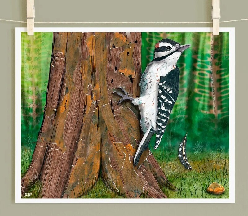 FR Woodpecker