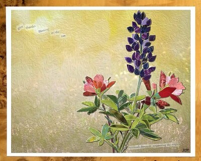 FR April Paintbrush Lupine Print