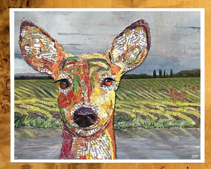 FR Deer