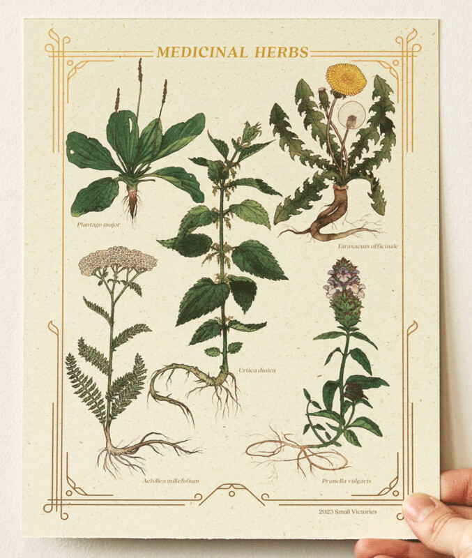 medicinal herbs