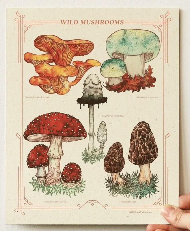 wild mushrooms