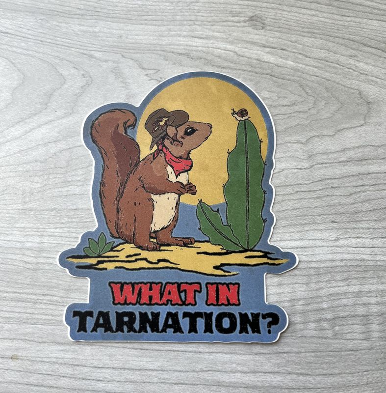 squirrel cowboy stick.