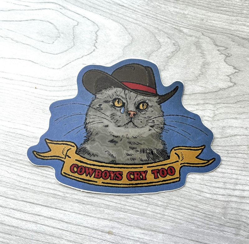 cat cowboy stick.