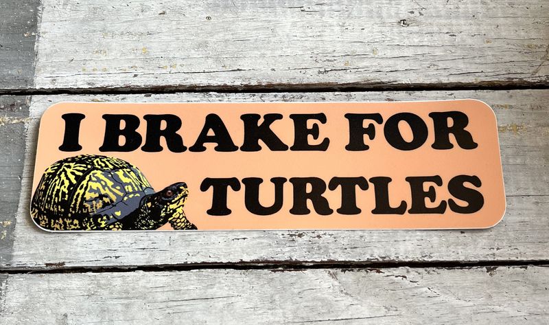 AW Brake Turtles
