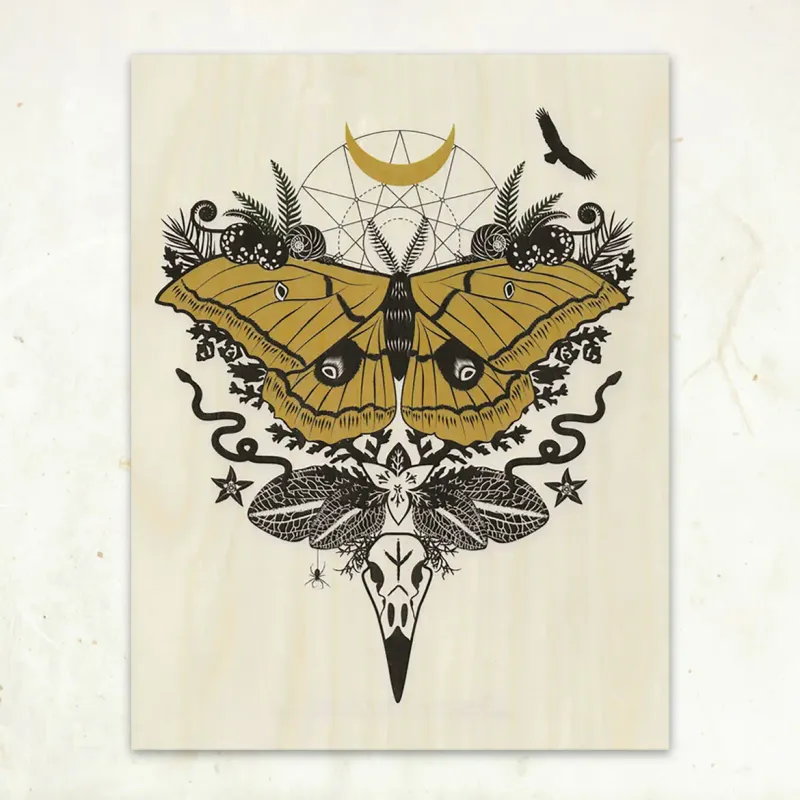 LGF Silk Moth