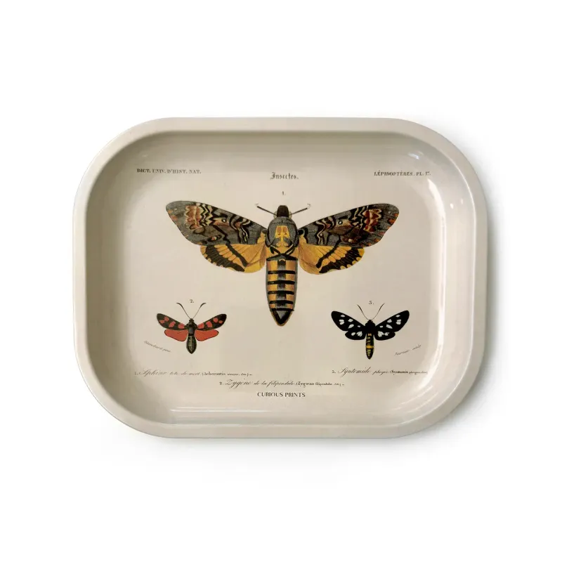 Moth Tray