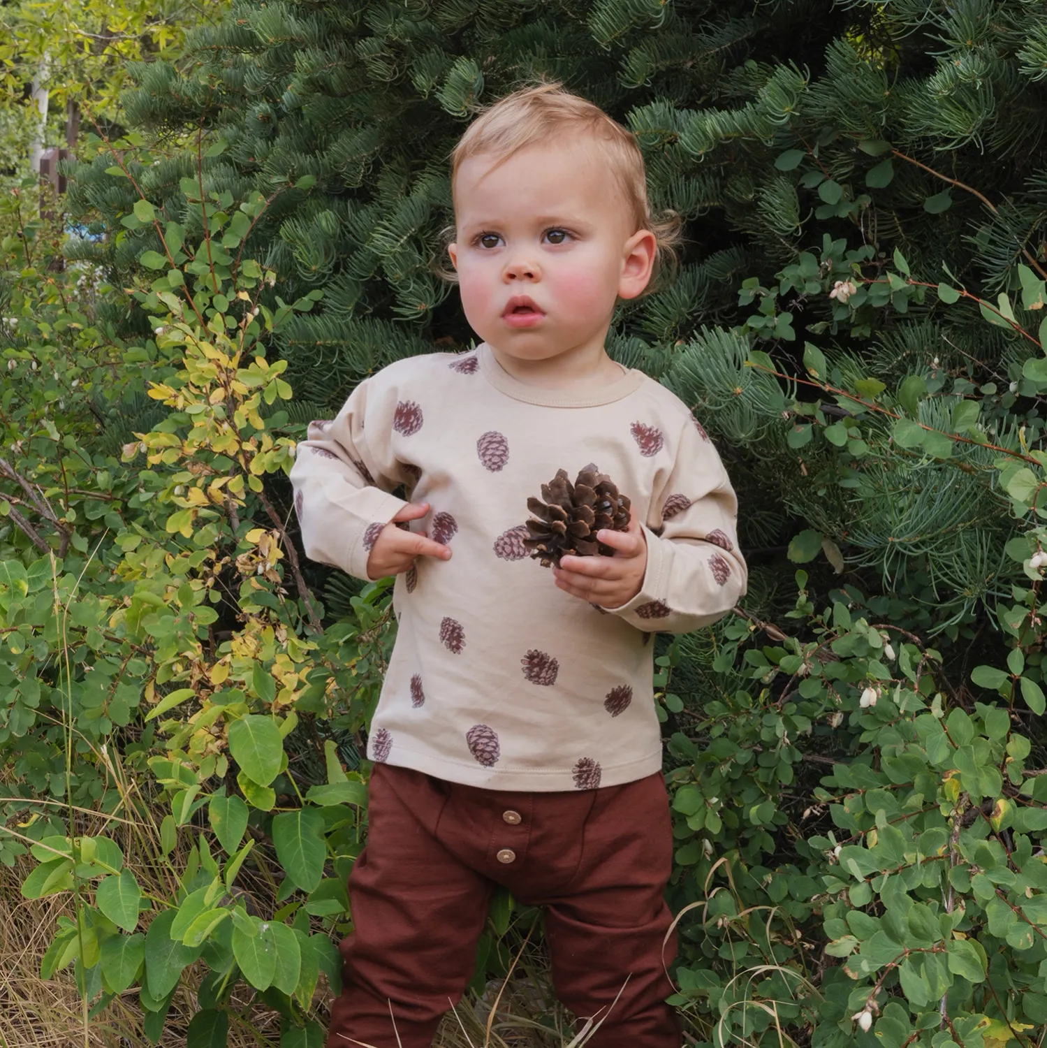 Boy Set, Pinecones Boy Set, Pinecones