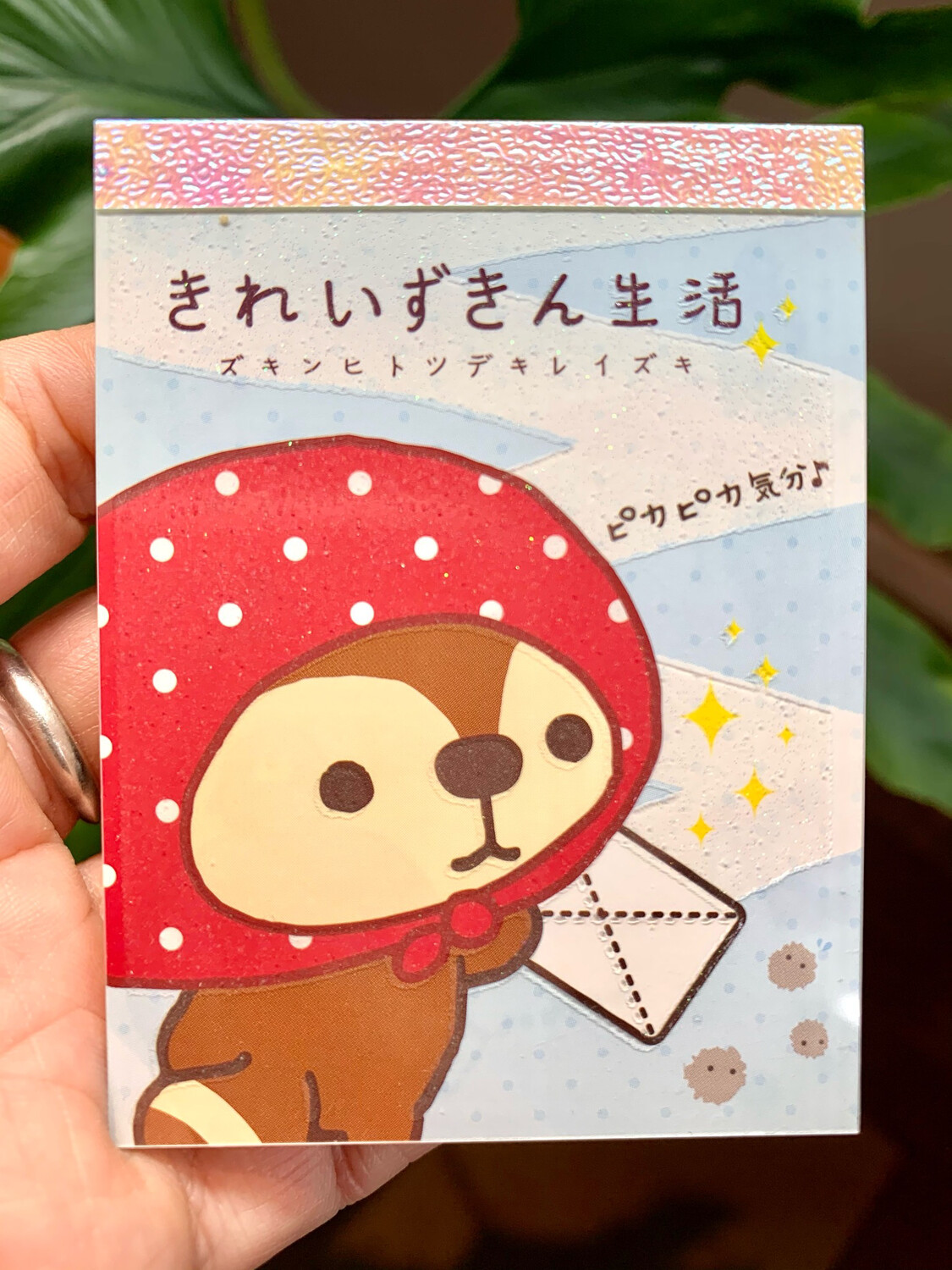 San-X 2009 Kireizukin Seikatu Raccoon Mini Memo Pad