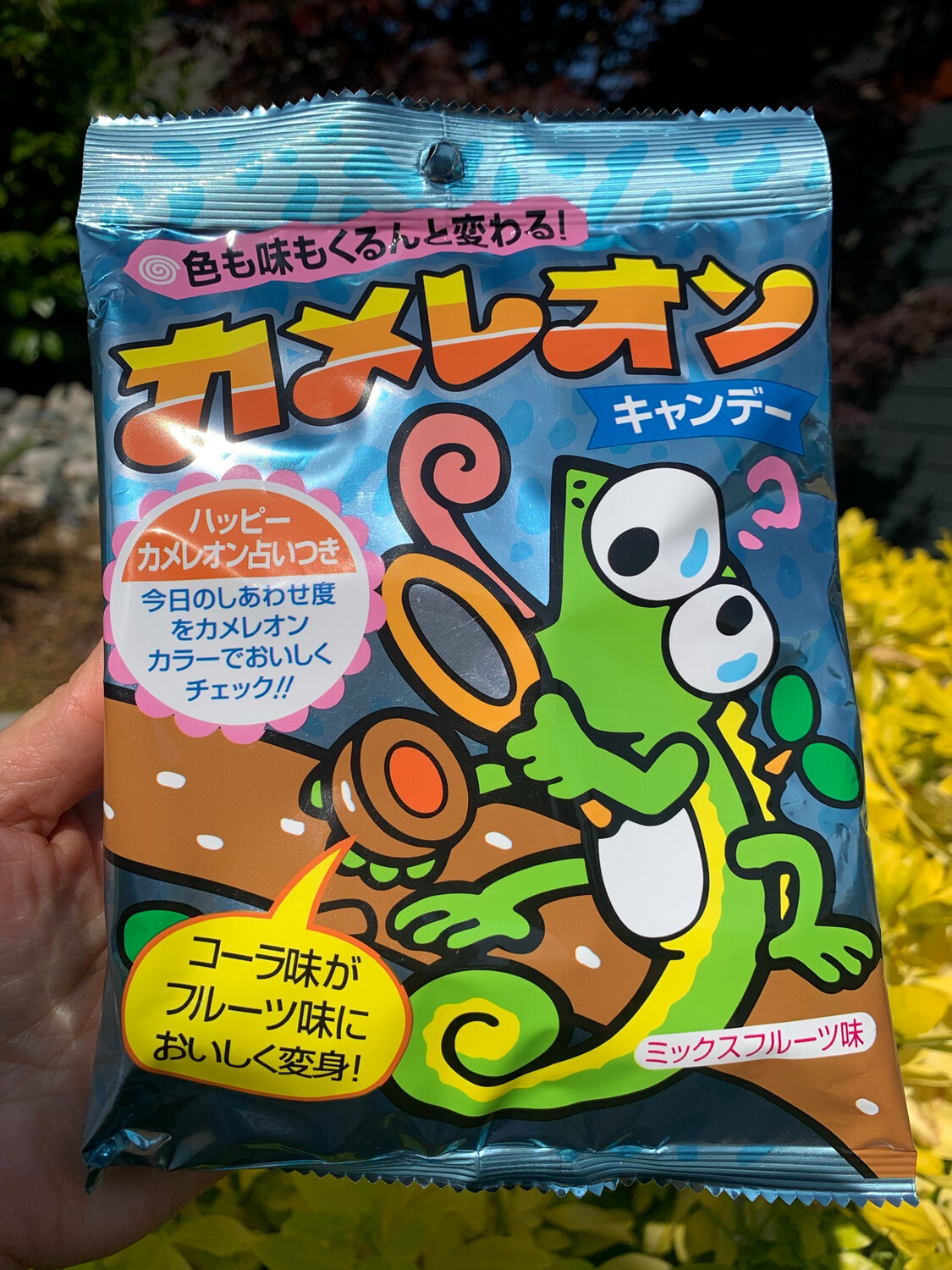 Japan Kikko Seika Fortune Candy