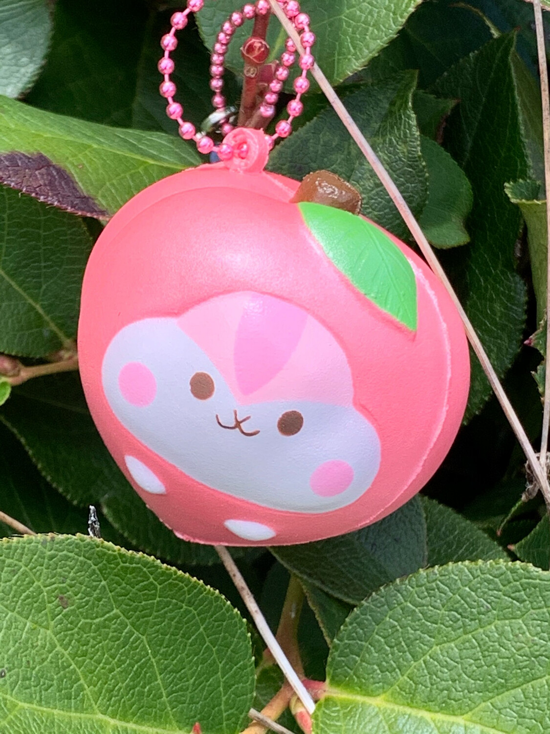 Poli Shimmery Mini Peach Squishy - Pink