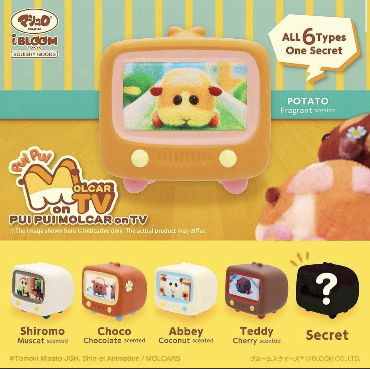 iBloom Pui Pui Molcar Mini Television TV Squishy Blind Box