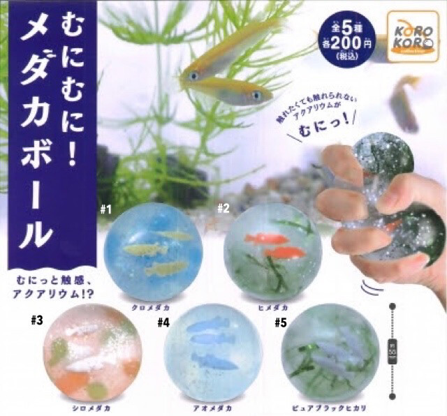 Korokoro Madeka Fish Aquarium Ball Squishy Toy