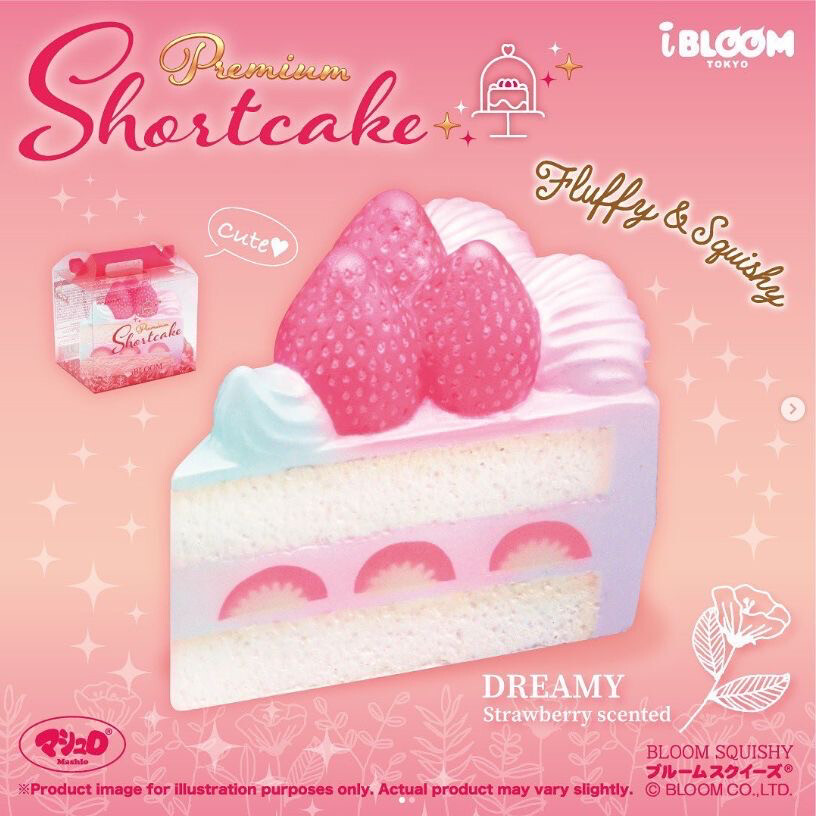 iBloom Premium Short Cake Box Version (Dreamy)