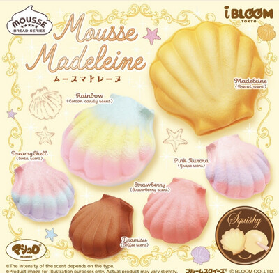 iBloom Mousse Madeleine Shell Squishy Toy (Box Version) NEW!