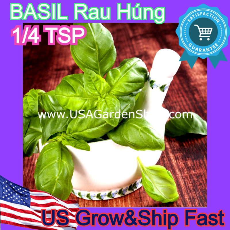 Genovese Basil Seeds Heirloom Hung Que