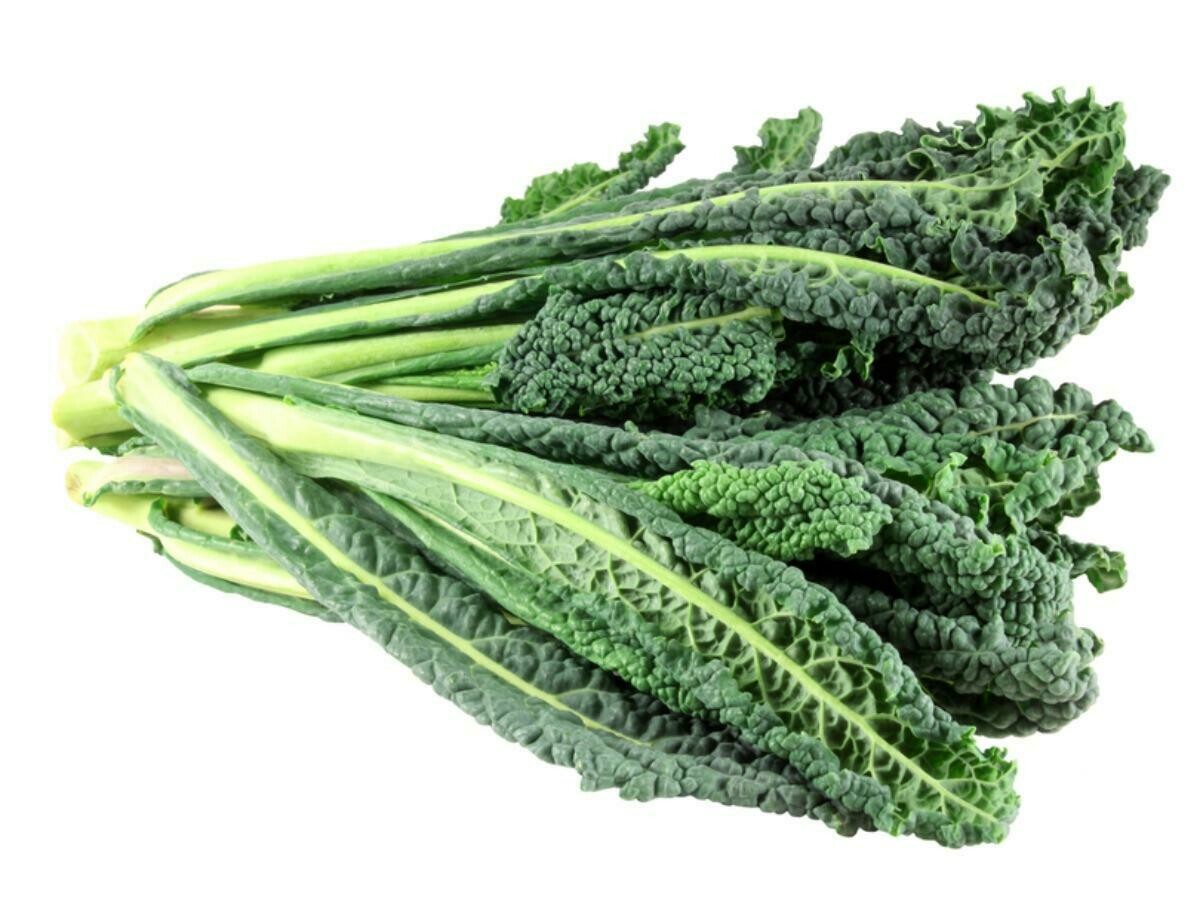 Lacinato Kale Seeds Dinosaur Kale
