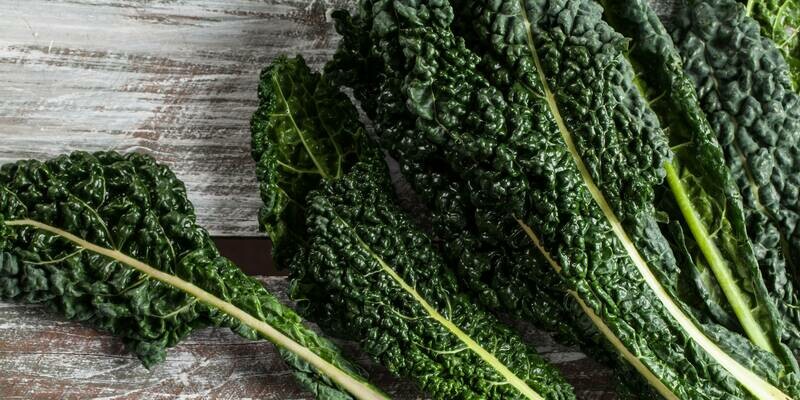 Lacinato Kale Seeds Dinosaur Kale