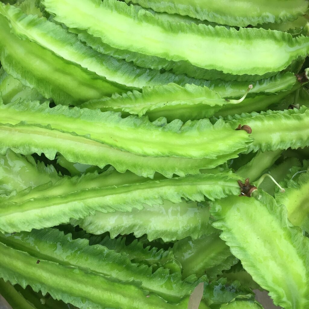 Winged Bean Seeds Hat Dau Rong