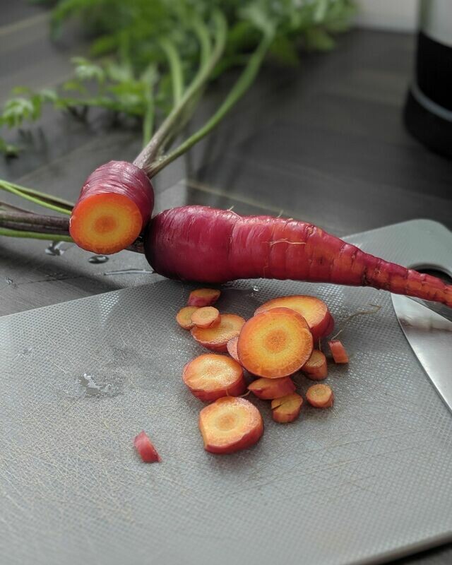PURPLE DRAGON CARROT Seeds