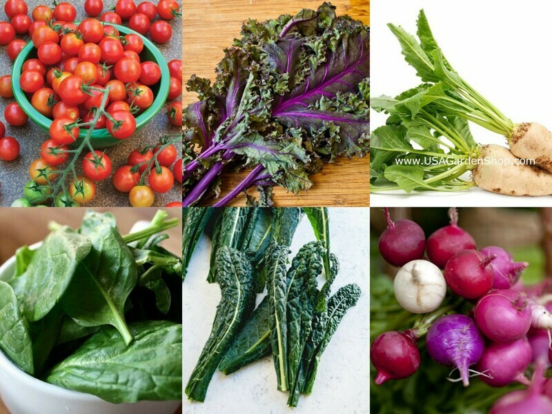 6 Packs Essential Nutrition Powerhouse seeds