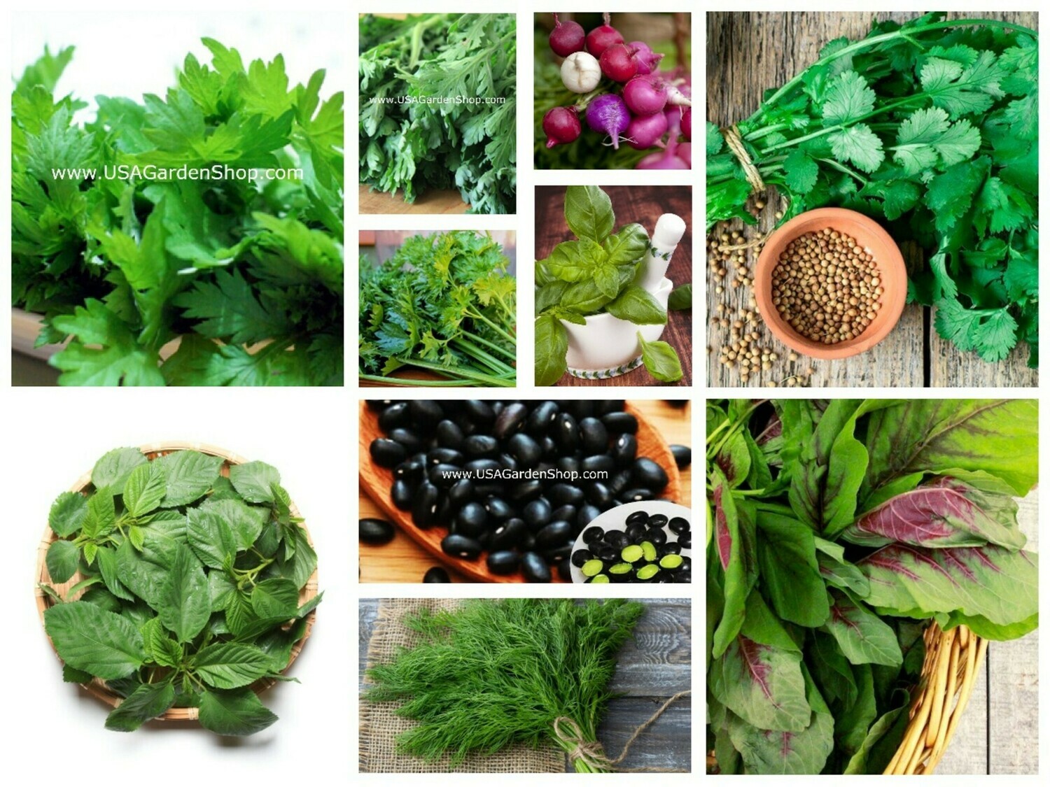 10 in 1 Bulk Organic Herbs