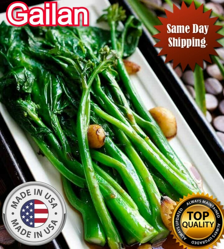 GAILAN seeds Gai Lan KAILAN Seeds