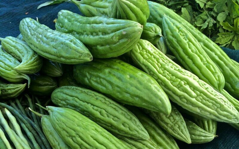 Bitter gourd seeds/Bitter melon/ Karela/ Balsam apple-pear
