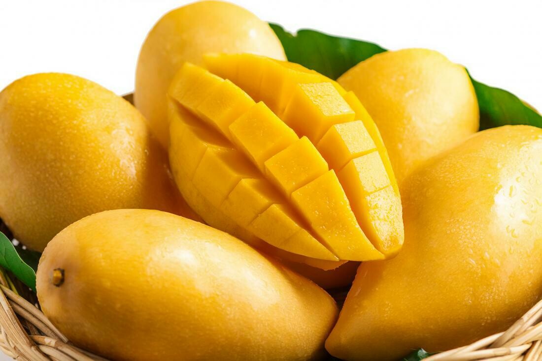 Yellow Mango Tropical Fruit Tree Plant Cay Xoai