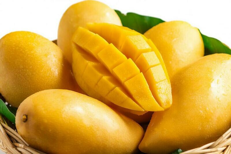 Yellow Mango Tropical Fruit Tree Plant Cay Xoai