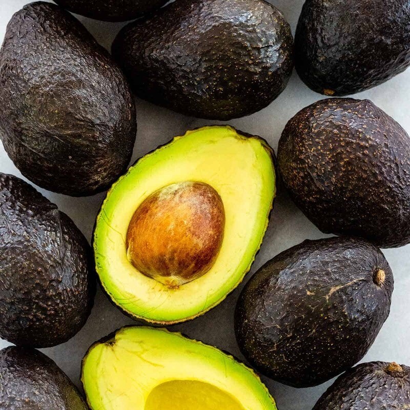 Avocado Persea americana