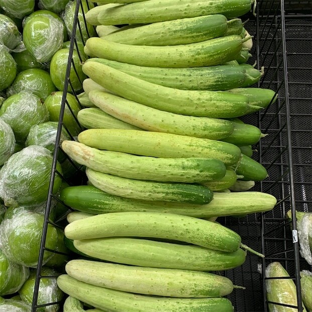 Korean Cucumber Seeds pack