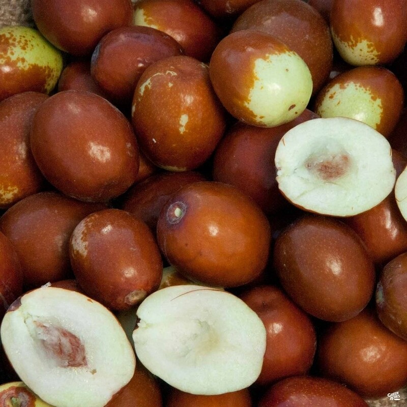Sugar cane Jujube tao tau