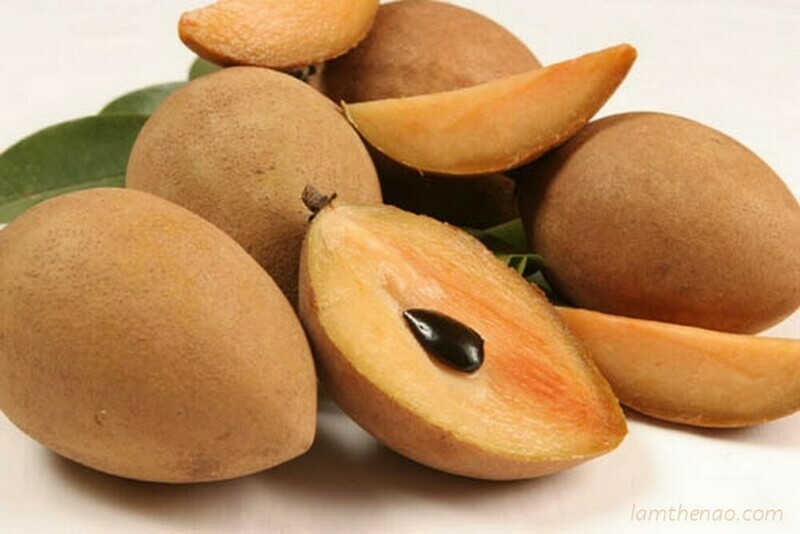 Alano sapodilla Sapote SamBoChe
