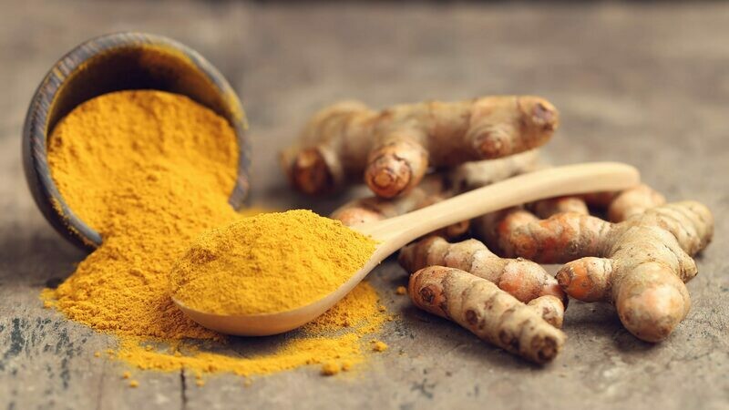 Turmeric Rhizome  Cu Nghe Curcuma longa Zingiberaceae