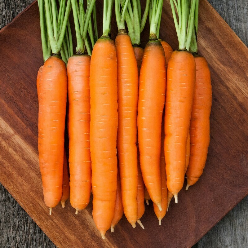Carrot, Nantes Half Long Organic Carrot