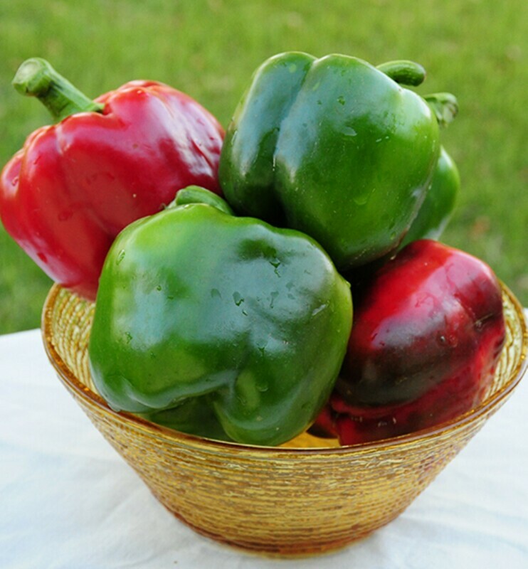 California Wonder 300 Sweet Pepper