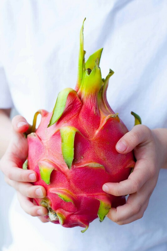 Dragon Fruit pitahaya