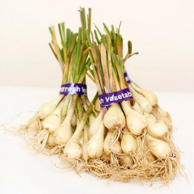 Allium chinense Rakkyo Cu Kieu