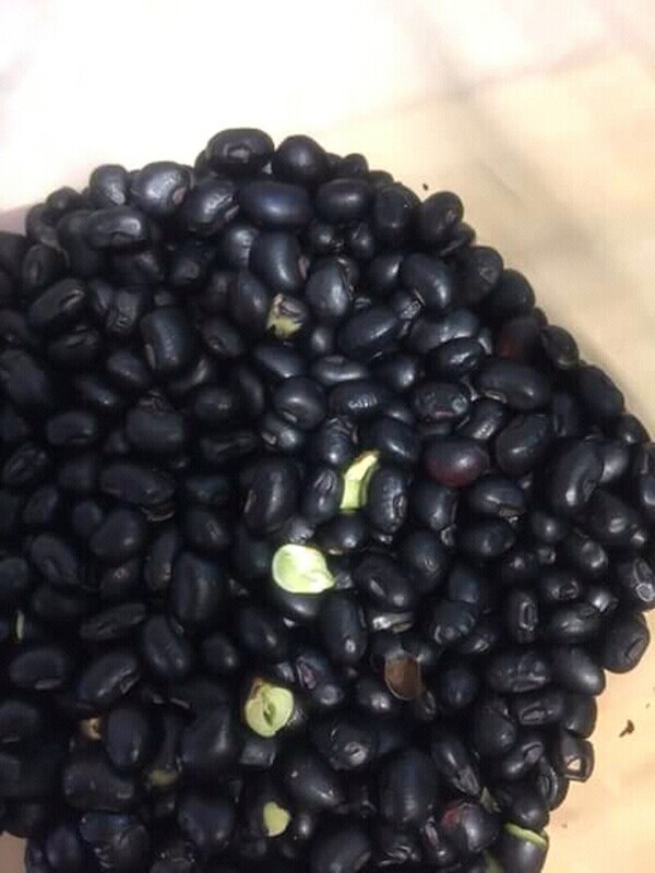 Edamame Black Beans Đậu đen xanh lòng