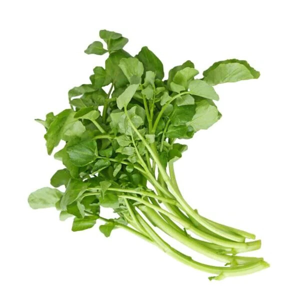 WATERCRESS yellowcress Nasturtium officinale Summer Seeds leaf veggie Seeds