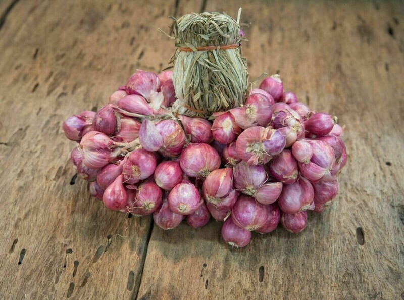 Asian red shallot Hanh Huong onion bulbs