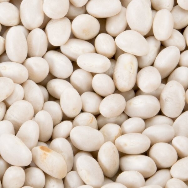 Great northern Bean, Lima beans, Butter Beans, Large white bean
